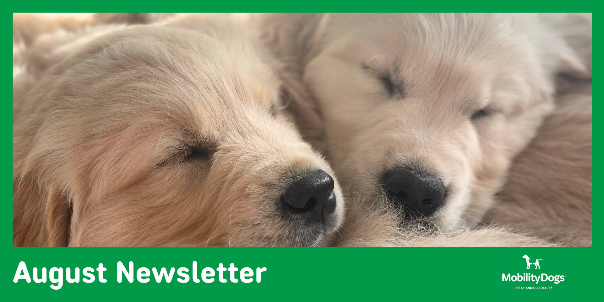 Mobility Assistance Dogs Trust